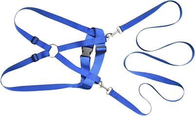 Veiligheidsharnas Kinderen - Verstelbaar Tuigje - Buiten Spelen - Huidvriendelijk Materiaal - 200 cm Lengte - Blauw