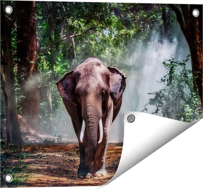 Gards Tuinposter Olifant in het Bos - 50x40 cm - Tuindoek - Tuindecoratie - Wanddecoratie buiten - Tuinschilderij