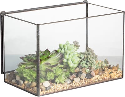 ApexArte® Terrarium - Ecosysteem - Reptielenverblijf - Transparant