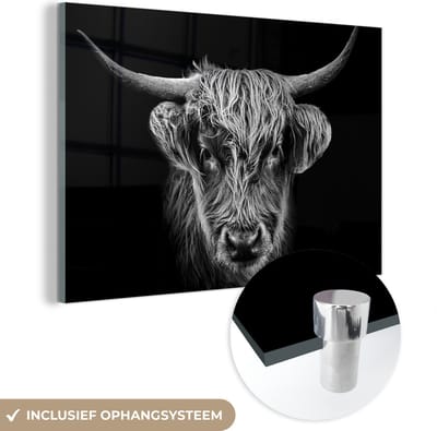 MuchoWow® Glasschilderij 60x40 cm - Schilderij acrylglas - Schotse hooglander - Zwart - Koe - Dieren - Foto op glas - Schilderijen
