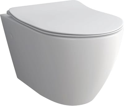 Diepspoeltoilet zonder spoelrand van hoogwaardig sanitair keramiek in wit - Afneembare wc-bril met softclose
