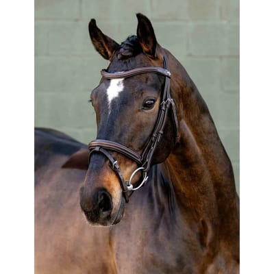 Hoofdstellen voor paarden LeMieux