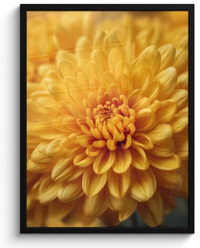 Poster in lijst - Fotolijst 50x70 cm - Posters - Geel - Chrysant - Zachtheid - Posterlijst zwart - Decoratie - Wanddecoratie woonkamer - Muurdecoratie slaapkamer