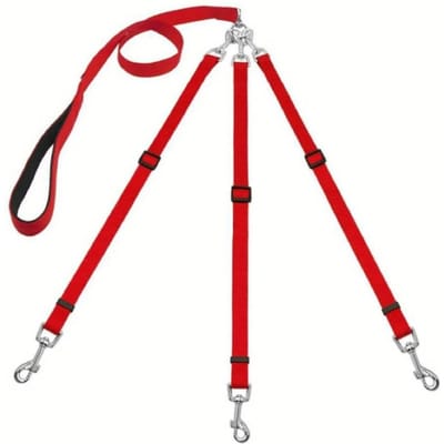 Laisse pour chien 3 en 1 Amovible Rotation à 360° Harnais d'entraînement pour chien en nylon Pour les activités de plein air La marche et l'entraînement Pour les chiens de taille moyenne Décor rouge