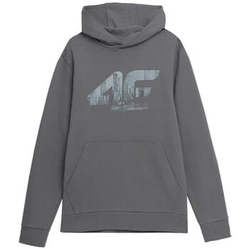 Capuchon sweaters 4F TSWSM233