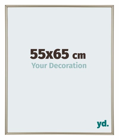 Your Decoration - Fotolijst 55x65 cm - Kunststof - Champagne - Annecy