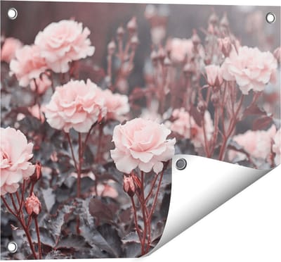 Gards Tuinposter Roze Rozen Bloemen - 50x40 cm - Tuindoek - Tuindecoratie - Wanddecoratie buiten - Tuinschilderij