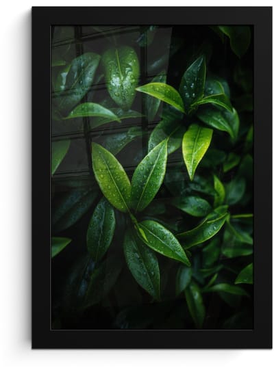 Poster in lijst - Fotolijst 20x30 cm - Posters - Bladeren - Regendruppels - Licht - Groen - Posterlijst zwart - Decoratie - Wanddecoratie woonkamer - Muurdecoratie slaapkamer