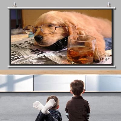 Projectiescherm Binnen - Filmscherm Oprolbaar - Thuisbioscoop Ervaring - Wit Glasvezel Materiaal - 40 Inch 16:9 - Wit