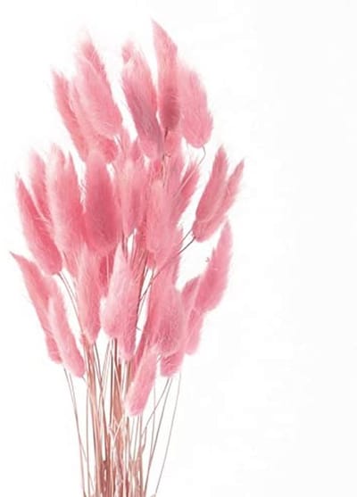 Natuurlijke gedroogde pampasgras bloemen - 50 stuks voor creatieve decoratie