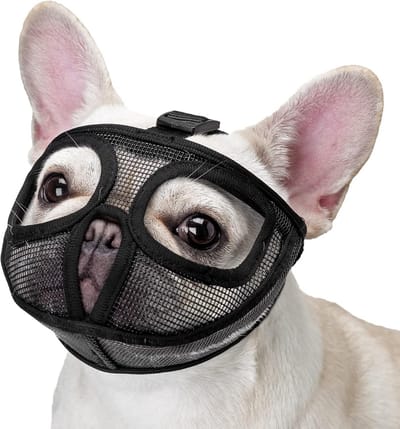 Verstelbare Korte Snuit Bench voor Bulldog en Mops - Zwart