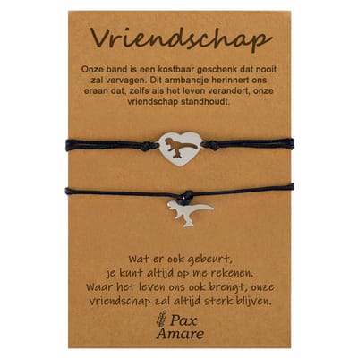 Vriendschapsarmbandjes voor 2 "Vriendschap" - Zwart - BFF Armbandjes met Cadeau Kaartje - Zilverkleurig & Zwart - Elastisch Verstelbaar - Pax Amare