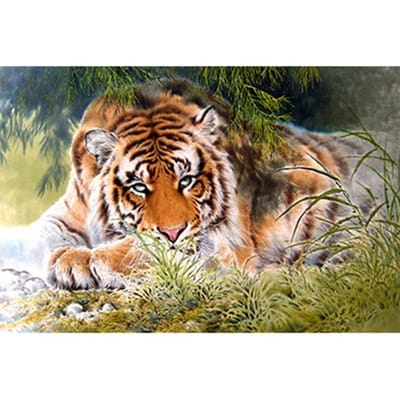 Tigre Broderie Diamant Complet 5D Peinture Diamant Rond Point De Croix 3D Mosaïque Diamant Couture 20X30
