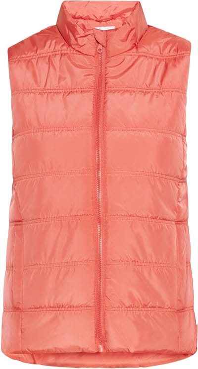 usha Vest