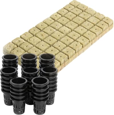 Rotswol Kubussen - Zaadstart Medium - Planten Vermeerderen - Grondloze Groei - 50 Stuks - Wit