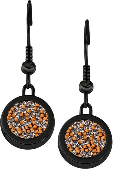 Quiges RVS Schroefsysteem Oorhangers Oorbellen Zwart met Verwisselbare Mini Munten Zirkonia Goudkleurig Transparant