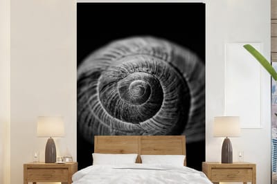 Behang - Fotobehang Slak - Dieren - Zwart - Wit - Slakkenhuis - Breedte 200 cm x hoogte 300 cm