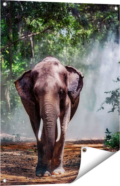 Gards Tuinposter Olifant in het Bos - 60x80 cm - Tuindoek - Tuindecoratie - Wanddecoratie buiten - Tuinschilderij