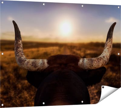 Gards Tuinposter Stierenhoorns bij Zonsondergang - 120x90 cm - Tuindoek - Tuindecoratie - Wanddecoratie buiten - Tuinschilderij