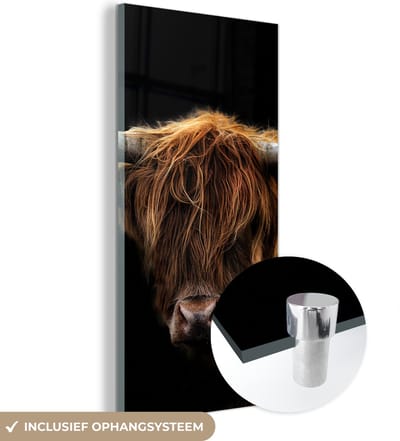 Glasschilderij Schotse Hooglander - Horens - Zwart - Dieren - Koe - Woonkamer - 20x40 cm - Foto op glas - Wanddecoratie glas - Kamer decoratie