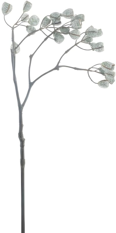 Sifang fruit spray creme 68 cm kunsttak Buitengewoon de Boet