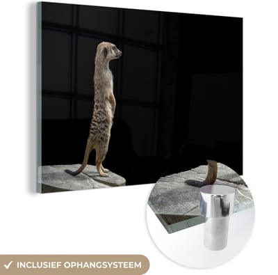 MuchoWow® Glasschilderij 150x100 cm - Schilderij acrylglas - Stokstaartje - Wilde dieren - Zwart - Foto op glas - Schilderijen