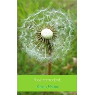 Hoezo Vermoeiend... - Karin Peters