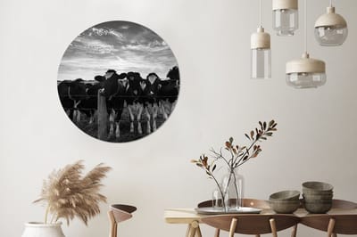 WallCircle - Wandcirkel 90x90 - Inductie beschermer - Koeien - Boerderij - Inductie mat - Ronde schilderijen woonkamer - Wandbord rond - Muurdecoratie cirkel - Kamer decoratie binnen - Wanddecoratie muurcirkel - Woonaccessoires