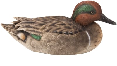 HotAnt Tuinbeeld dieren - Eend (Polystone) - Voor buiten - Tuin decoratie - Cadeau