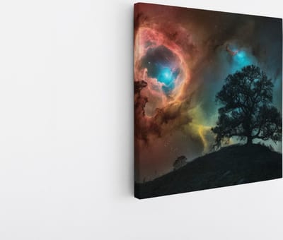 Saammp Canvas Schilderij - Ruimte - boom - Landschap - Natuur - 20x20 - Foto op canvas - Wanddecoratie - Muurdecoratie Woonkamer - Slaapkamer decoratie - Canvas Print