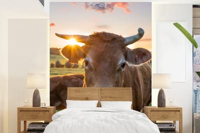 Behang - Fotobehang Koeien - Zon - Weiland - Platteland - Breedte 190 cm x hoogte 260 cm