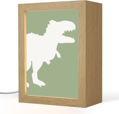 Nachtlampje 15x20 cm - Kinder lampje - Dino - T-rex - Dinosaurus - Groen - Tyrannosaurus rex - Tafellamp kinderkamer - Slaapkamer lamp - Bedlamp kinderen - Kinderlampje stopcontact - Wandlamp babykamer - Nachtlampjes