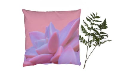 Sierkussens - Kussentjes Woonkamer - 40x40 cm - Vetplant - Zomer - Roze - Planten
