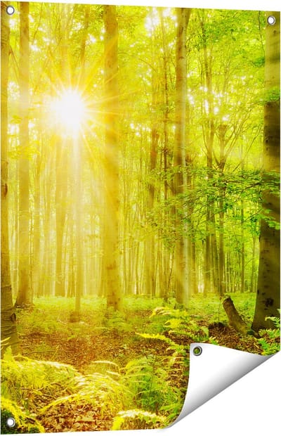 Gards Tuinposter Groen Bos met Schijnende Zonnestralen - 60x80 cm - Tuindoek - Tuindecoratie - Wanddecoratie buiten - Tuinschilderij