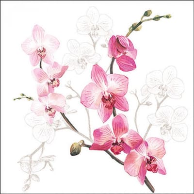 Ambiente - Lunch servetten - Orchid