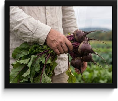 Poster in lijst - Fotolijst 40x30 cm - Posters - Bieten - Vers - Moestuin - Posterlijst zwart - Decoratie - Wanddecoratie woonkamer - Muurdecoratie slaapkamer