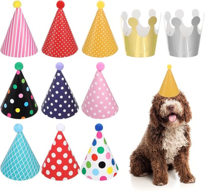 Kleurrijke Verjaardagshoeden Set van 11 Stuks met Pompoms voor Kinderen en Volwassenen, Feestdecoraties voor Verjaardagsfeestjes en Familiebijeenkomsten