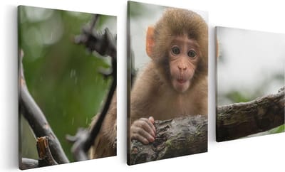 Artaza Canvas Schilderij Drieluik Klein Baby Aapje Op Een Tak - 120x60 - Foto Op Canvas - Canvas Print