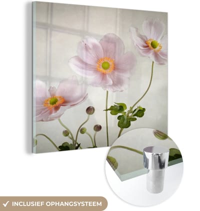 MuchoWow® Glasschilderij 50x50 cm - Schilderij acrylglas - Bloemen - Stilleven - Olieverf - Klaproos - Roze - Foto op glas - Muurdecoratie woonkamer - Wanddecoratie slaapkamer - Schilderijen