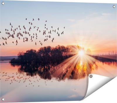 Gards Tuinposter Groep Vogels Boven de Meer met Zonsondergang - 80x60 cm - Tuindoek - Tuindecoratie - Wanddecoratie buiten - Tuinschilderij