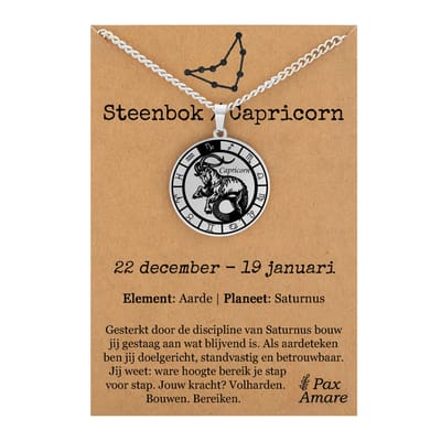 Steenbok / Capricorn Sterrenbeeld Ketting op Cadeau Kaartje - Zilverkleurig - RVS - Spiritueel Cadeau - 60cm - Pax Amare