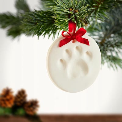 Pootafdruk Klei Set - Verjaardagscadeau voor Huisdieren, Voet- en Pootafdrukken Klei voor Katten en Honden, Herinneringsset voor Huisdierbenodigdheden