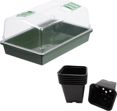 Grote kweekbak/kweekkast met deksel inclusief 7x kunststof kweekpotjes 21 x 55 x 31 cm