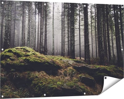 Gards Tuinposter Bos met Mos op Rotsen - 120x80 cm - Tuindoek - Tuindecoratie - Wanddecoratie buiten - Tuinschilderij
