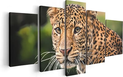 Artaza Canvas Schilderij Vijfluik Luipaard Van Dichtbij - 100x50 - Foto Op Canvas - Canvas Print