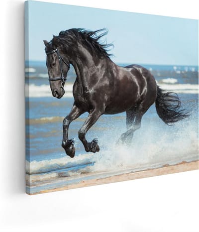 Artaza Canvas Schilderij Paard - 100x80 cm - Groot - Wanddecoratie Zee - Muurdecoratie Strand - Schilderijen Op Canvas Paarden
