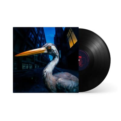 Antony Szmierek - Decoding Birdsong (LP)