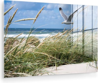 MuchoWow® Glasschilderij 60x40 cm - Schilderij acrylglas - Strand - Vogel - Planten - Foto op glas - Muurdecoratie woonkamer - Wanddecoratie slaapkamer - Schilderijen