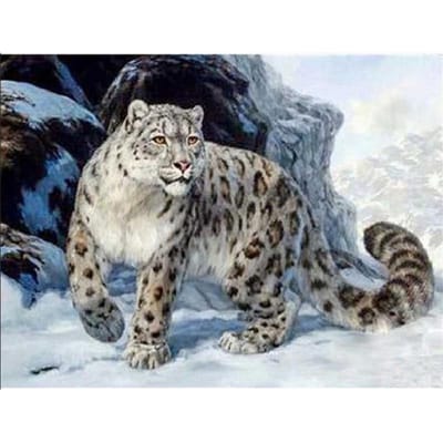 DIY 5D Diamant Schilderen Luipaard Diamant Borduren Cheetah Beest Een Foto Jungle Dieren 20X30CM gray
