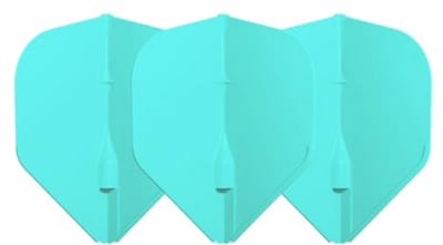 Dart Flights voor Softtip en Stalen Tip Dartpijlen - Perfecte Set voor Elke Speler